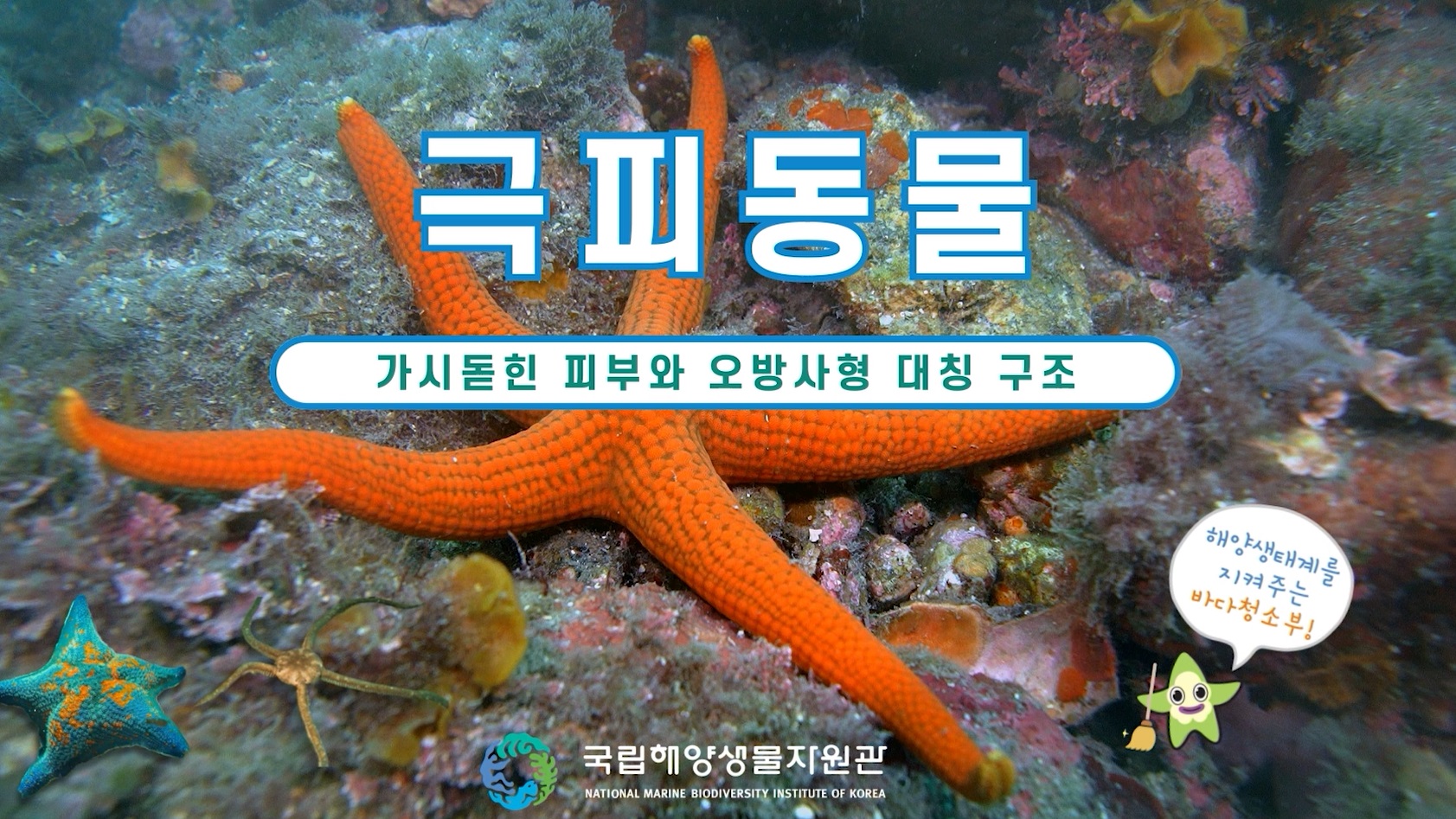 해양극피동물자원기탁등록보존기관 홍보영상